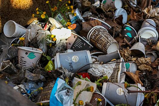 5 мифов о переработке мусора