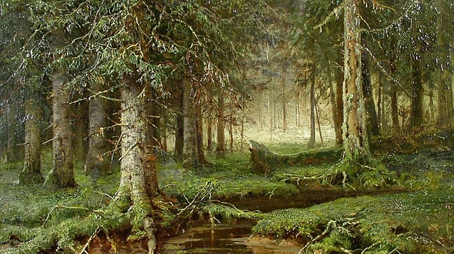 Рисунки, офорты и литографии Ивана Шишкина представит вологжанам картинная галерея
