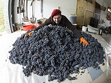 Ученые уверяют, что с коронавирусом можно бороться с помощью определенных продуктов