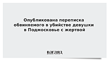 Опубликована переписка обвиняемого в убийстве девушки в Подмосковье с жертвой