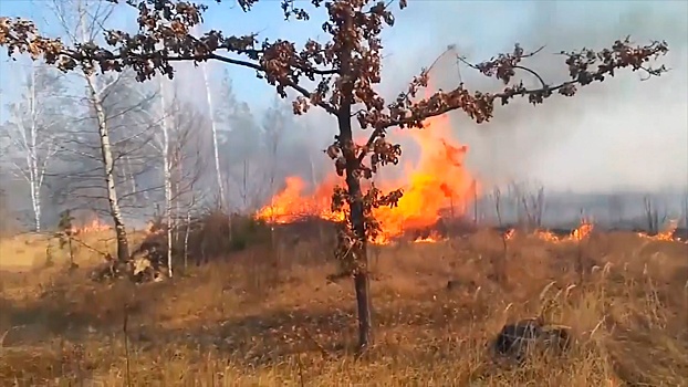 Спасатели продолжают тушить пожар в зоне отчуждения ЧАЭС