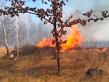 Спасатели продолжают тушить пожар в зоне отчуждения ЧАЭС