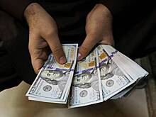 Правительство не согласилось с отказом от штрафов за непродажу валютной выручки