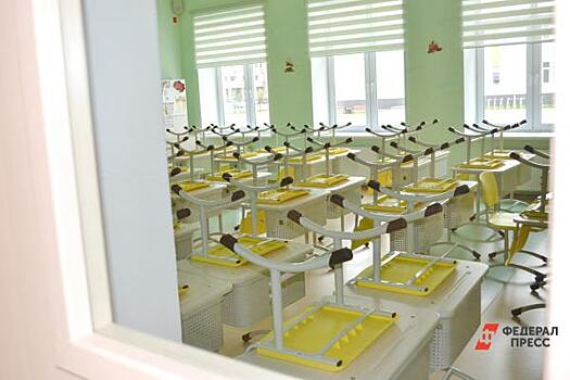 Все школы Оренбурга переходят на дистанционное обучение из-за ОРВИ и гриппа