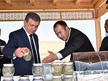 Эксперт: для Мирзиёева важно досыта накормить собственный народ