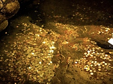 С затонувшего в XVIII веке корабля с сокровищами подняли первые артефакты