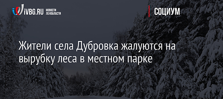 Жители села Дубровка жалуются на вырубку леса в местном парке