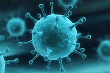Глобальная эпидемия суперинфекций началась и угрожает миру
