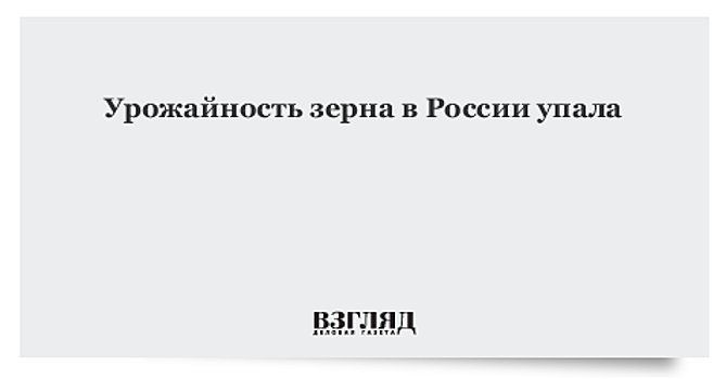 В России упала урожайность зерна