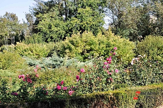 Глава Ростова подписал соглашение о сотрудничестве с Ботаническим садом ЮФУ