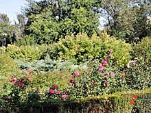 Глава Ростова подписал соглашение о сотрудничестве с Ботаническим садом ЮФУ