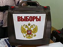 Самовыдвиженцев и иностранцев не пустят в губернаторы Приморья