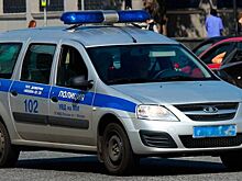 АвтоВАЗ будет выпускать полицейские Lada Largus