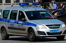 АвтоВАЗ будет выпускать полицейские Lada Largus