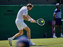 Камельзон – о поведении Медведева: Нельзя забывать, что ты представляешь Россию