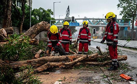Как Китай пережил удар "Рагасы", вступив в "Схватку"