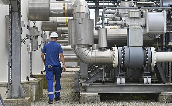 Эксперт рассказал о рисках отказа ЕC от поставок газа из России