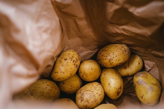 «Мираторг» инвестирует 1 млрд рублей в проект по развитию селекции картофеля
