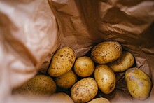 «Мираторг» инвестирует 1 млрд рублей в проект по развитию селекции картофеля