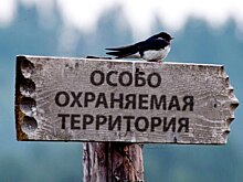 Минприроды намерено создать подразделение по работе с заповедниками и нацпарками