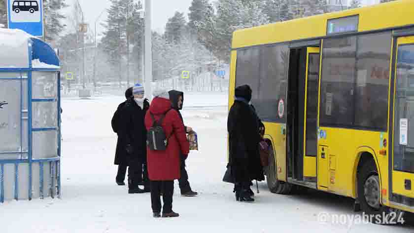 Перевозка горожан в автобусах обойдётся бюджету Ноябрьска в 114 млн рублей