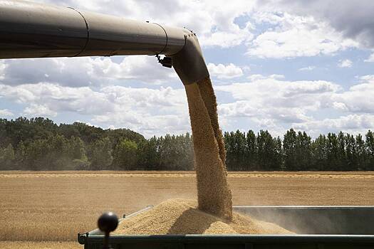 В Польше шокировались объемами ввозимого с Украины зерна