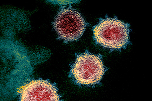 Разработан эффективный препарат против коронавируса