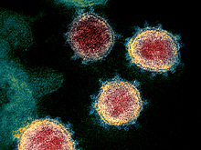 Разработан эффективный препарат против коронавируса