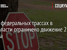 На 10 федеральных трассах в Ленобласти ограничено движение 2 августа
