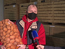 Аграрии Янтарного края в ожидании новых мест сбыта своей продукции