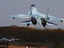 Сирия новости 3 августа 19.30: ВКС РФ атакуют ИГ близ Ас-Сухны, автобусы с боевиками прибыли в Сирию