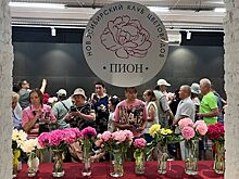«Магия пионов» расцвела в Музее природы Новосибирска