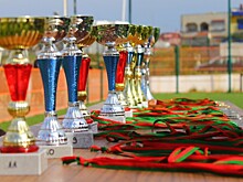 Воспитанники «Борца» завоевали восемь медалей на чемпионате по тхэквондо
