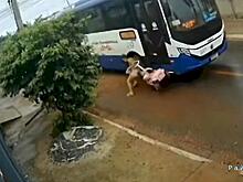 Автобус чудом не задавил молодую мамашу с коляской и попал на видео