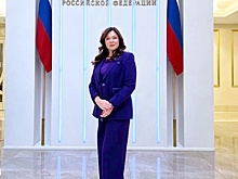 Хинштейн раскритиковал курскую чиновницу Мусьял за отпуск в Индии
