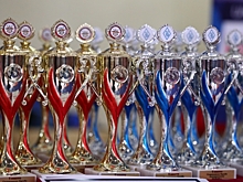 17 команд боролись в Волгограде за победу в турнире по панкратиону