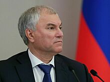 Володин поручил проработать введение уголовной ответственности для дропперов
