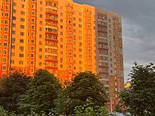 В Курске на проспекте Дериглазова хотят высадить лес