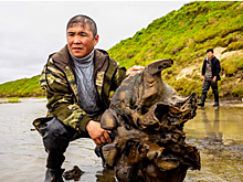 Мамонт Тадибе вернулся в Салехард после реставрации