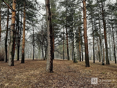 15 млн рублей выделят на содержание нижегородского парка «Швейцария»