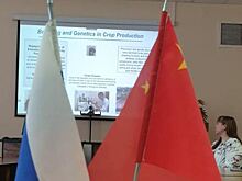 Омский ГАУ провел международный круглый стол «Научные интересы молодых учёных» совместно с партнером из Китая