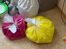 На западе столицы оперативники задержали подозреваемого в покушении на сбыт наркотических средств и сильнодействующих веществ