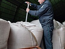 В Оренбуржье выявили 344 случая недостоверного декларирования зерна