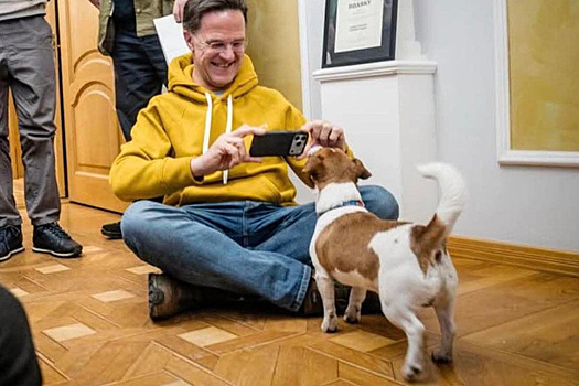 Пёс Патрон порвал повестку: генсек НАТО заменил геополитику собачьими нежностями