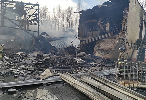 Ошибка персонала или недосмотр властей: почему взорвался завод под Рязанью