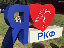 Четвероногий праздник в «Сокольниках»