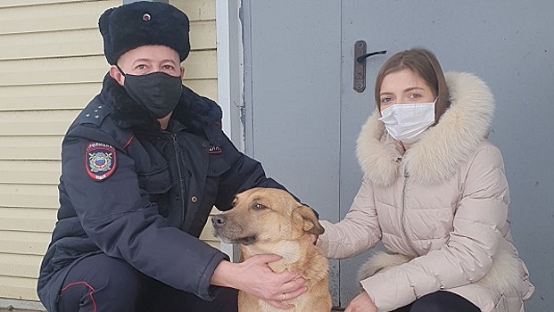 В Курске полицейский нашел и вернул хозяйке потерянную собаку