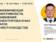 Почему будущее протеинового питания сельскохозяйственных животных — за ферментированными кормами?