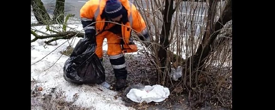 Из-за потепления на улицах Пскова обнажился мусор