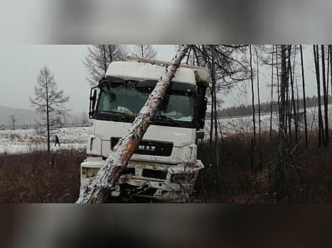 Водитель «КАМАЗа» получил травмы из-за столкновения с деревом в Забайкалье